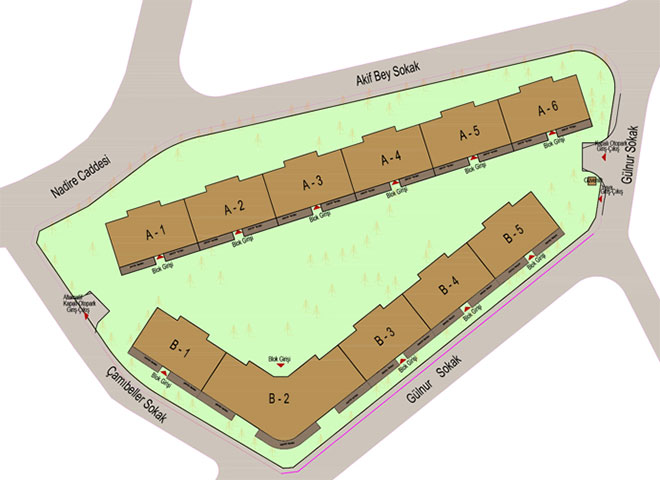 Nexonya Fergana - Maltepe